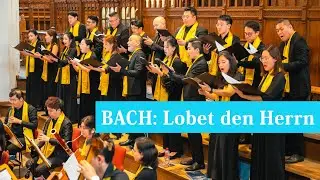 J.S. Bach: Lobet den Herrn alle Heiden, BWV 230