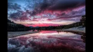 Self-Reflection Journals