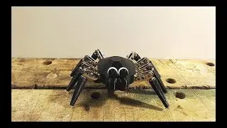 Baroque Dancin Spider