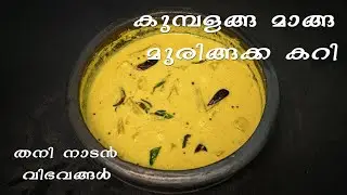 കുമ്പളങ്ങ മാങ്ങ മുരിങ്ങക്ക കറി / Kumbalanga Manga Muringakka Curry / Malayalam Pachakam