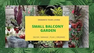 Small Balcony Garden | Home decor using natural plants | indoor plants | Sitting   space in balcony
