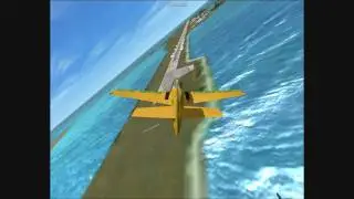 fsx male