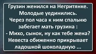 Грузин Взял Себе в Жены Негритянку! Подборка Лучших Анекдотов Синего Предела