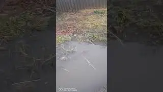 02 08 2023
