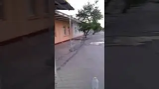 полша бозор