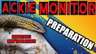 DON’T FORGET THESE 5 KEY THINGS Before You Buy An Ackie Monitor!