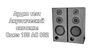 Acoustic test Soyz 130 AS 002