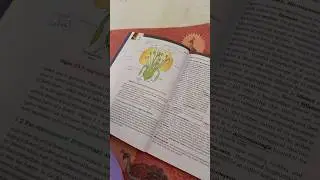 4am Study Routine 🌱 Mini study vlog 🌷#shortsvideo #youtubeshorts #study #vlog