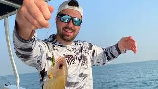 Dubai fishing trip!