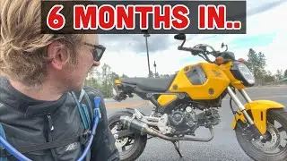 6 Months with a Honda Grom lol