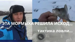 ЭТОТ ЧЕРТИК РЕШИЛ ИСХОД РЫБАЛКИ..