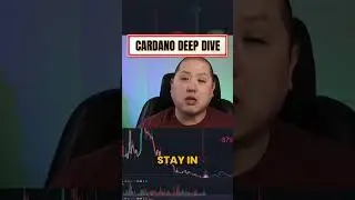 The Cardano Love Hate Relationship Is Real!