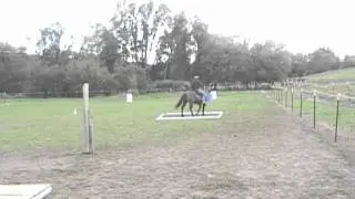 HSN horseback 9 11