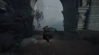 [PC] Elden Ring: Grinding my life away...