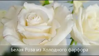 Белая Роза из холодного фарфора