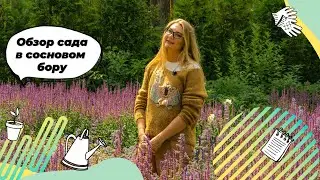 Pine Forest Garden Review, Summer 2023 | Forest Garden | Landscape Design