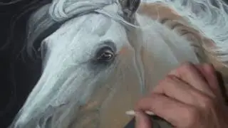 como desenhar um cavalo realista - speed drawing - Curso de Desenho IPStudio
