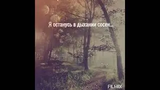 Я останусь в дыхании сосен... (автор Кристина Колобаева) #стихи