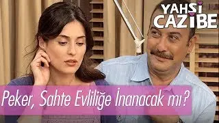 Cazibe ve Kemal, Peker'i inandırabilecek mi? - Yahşi Cazibe