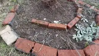 Ура! На даче! 🏡 19 апреля 2024 г.