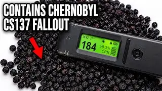 Testing radioactive Chernobyl blueberries