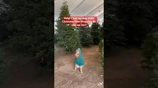 I’m not seeing her anywhere 🎄 