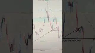EURUSD 06 TO 10 OCT 2025 American Weekly Technical Fundamental Forex Forecast Free t.me Signals