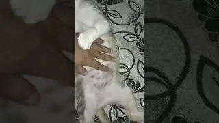 pagi anabuluku