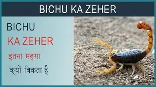 बिच्छू का ज़हर इतना महंगा क्यों बिकता है || why scorpion venom is so expensive #shorts #youtubeshorts