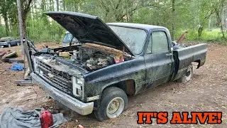 383 C10 Lives After 10+ Years!