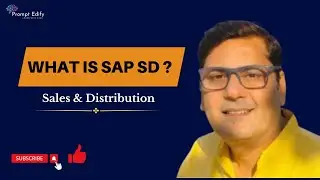 Streamlining Sales with SAP SD: Benefits at a Glance