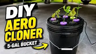 DIY 5 Gallon Bucket Aeroponic Cloner