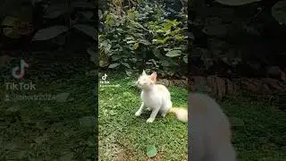 වද්ද ගත්තා නේද ඇහේ 😥