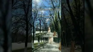 залетит наверное 