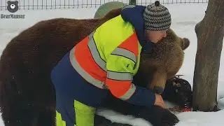Помидор с орешками на полдник🐻😋🍅