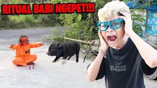 BOY FIND THE LOCATION OF THE PIG NGEPET RITUAL!!!