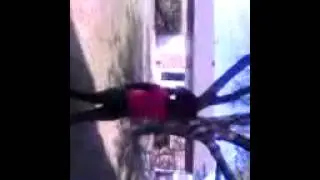 Little girls fight part 1
