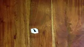 Theodd1sout!!! 😱