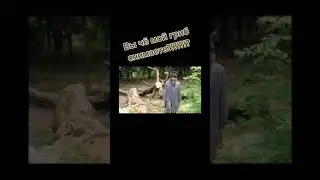 Случай в лесу😂🔥