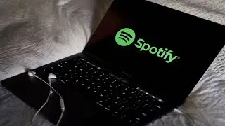 🌟The Spotify Method • Spotify Streams Through Playlist • Music Marketing💰
