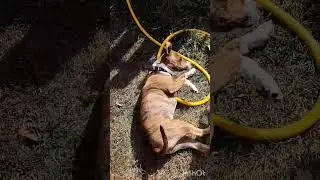 Кто не работает,тот ест!