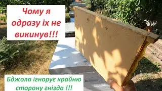 Чому бджола ігнорує останню сторону остонньої рамки ??? #бджильництво #хобиинженера