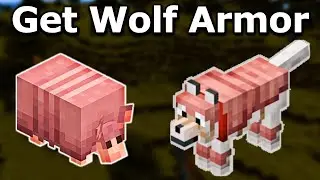 How to get WOLF ARMOR in Minecraft 1.21 Bedrock & Java! (ARMADILLO SCUTE)