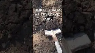 Как Посадить Картошку