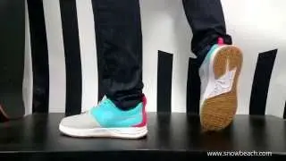 NIKE SB PROJECT BA PREMIUM LOST ART wolf grey metallic silver dusty cactus 599643 003