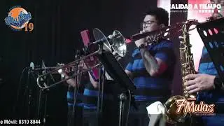 Mosaico 2020- Orquesta La Solución.