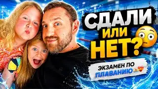Жизнь в Нидерландах. Как в Нидерландах проходит экзамен по плаванию для детей.