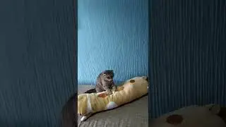вот,что такое релакс