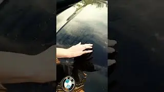 Помой меня #shorts