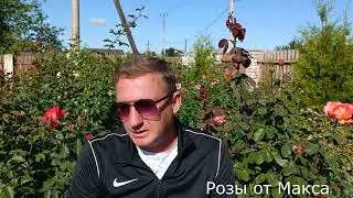 Ознакомительное видео